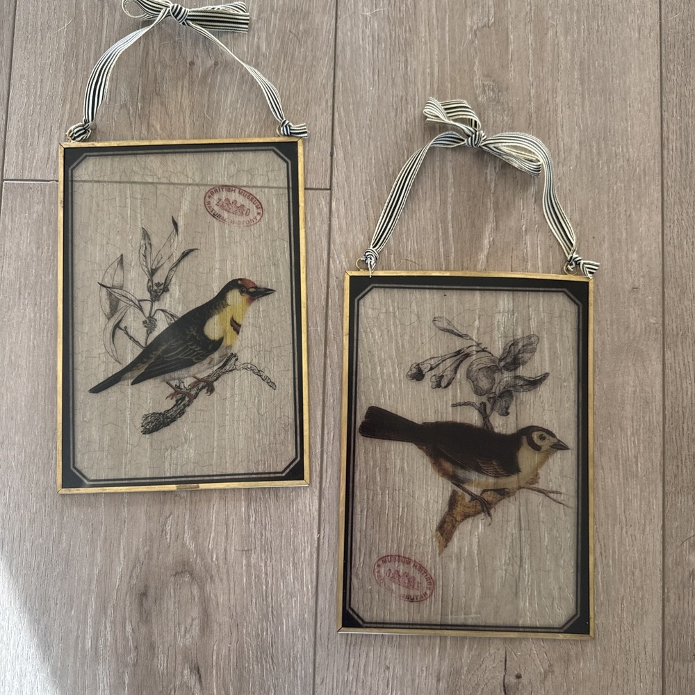 2 Vintage British Museum of Natural‎ History Glass Wall Art Bird Tree Sparrow